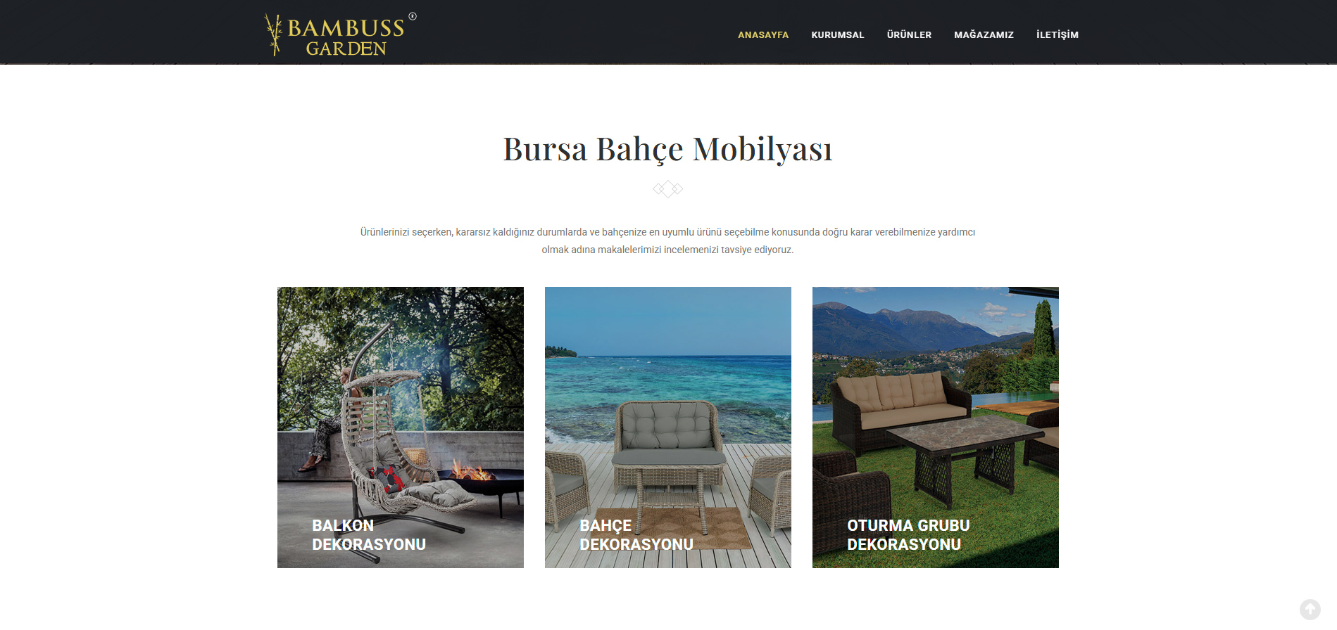 Bursa web tasarım - Bambuss
